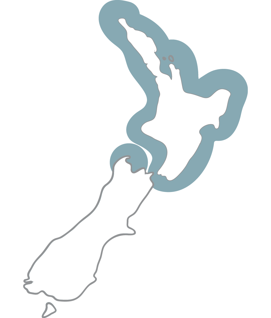 Maps_Snapper