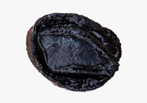 Wild-Abalone
